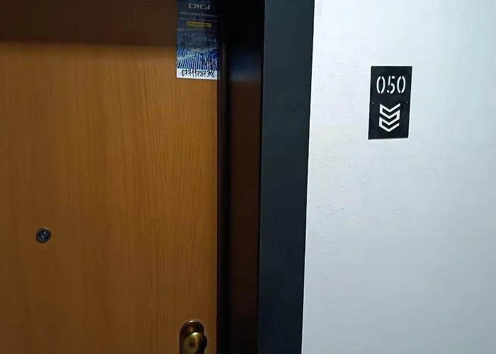 Campeador City-timisoara * Timişoara